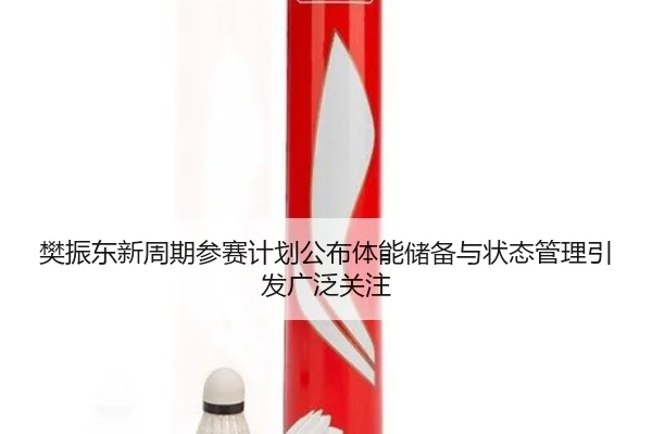 樊振东新周期参赛计划公布体能储备与状态管理引发广泛关注